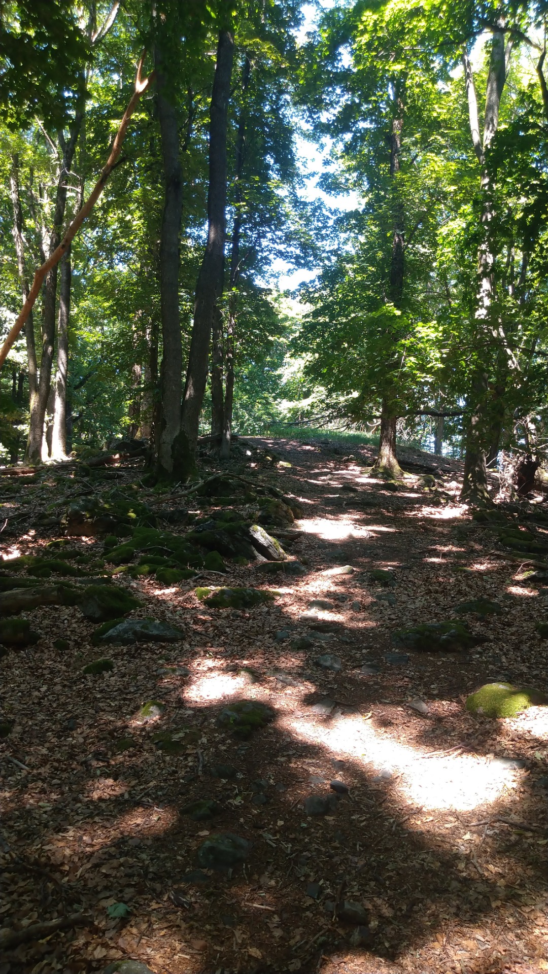 Cesta nahoru