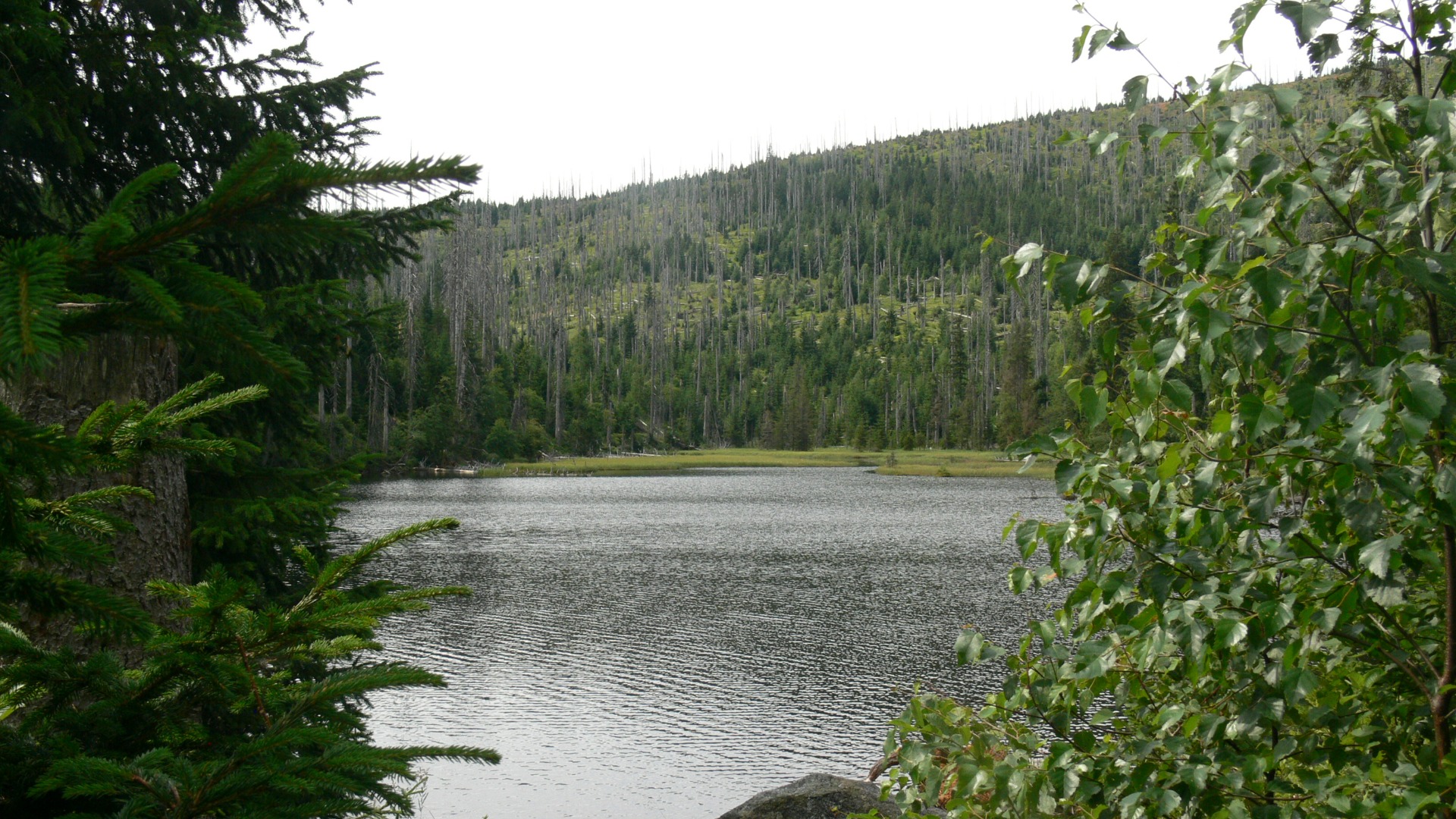 Jezero Laka